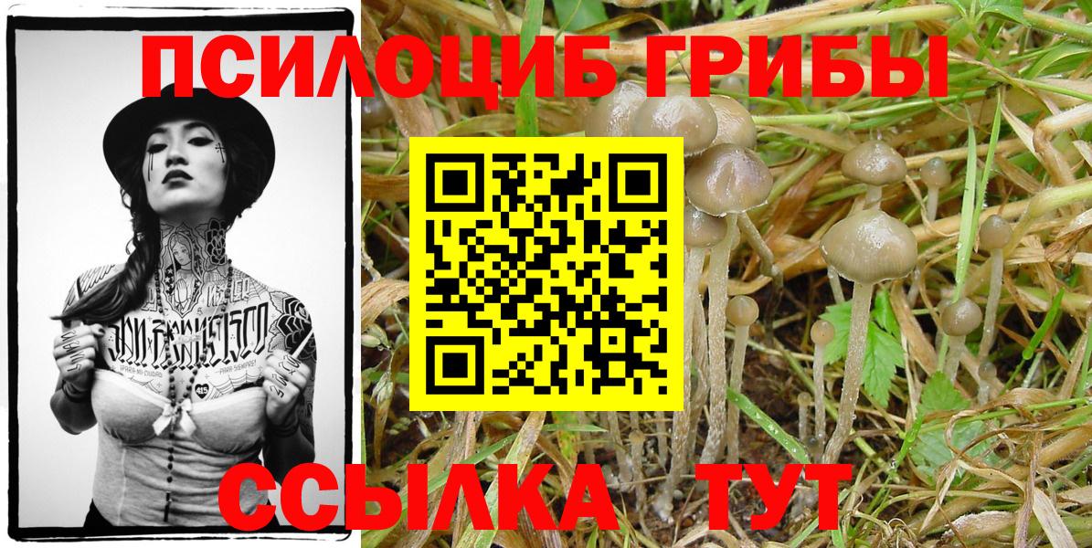 Псилоцибиновые грибы Magic Shrooms  Вход с VPN  Псилоцибиновые грибы Psilocybe  Нижний Тагил 